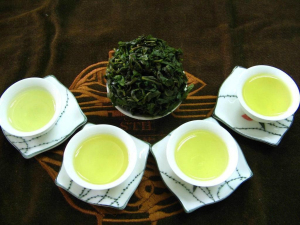 杭州茶博会6日启动 四大嗨点尽享茶世界
