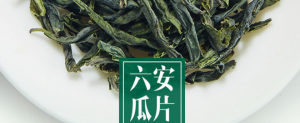 六安瓜片：中国最复杂的绿茶。【下】