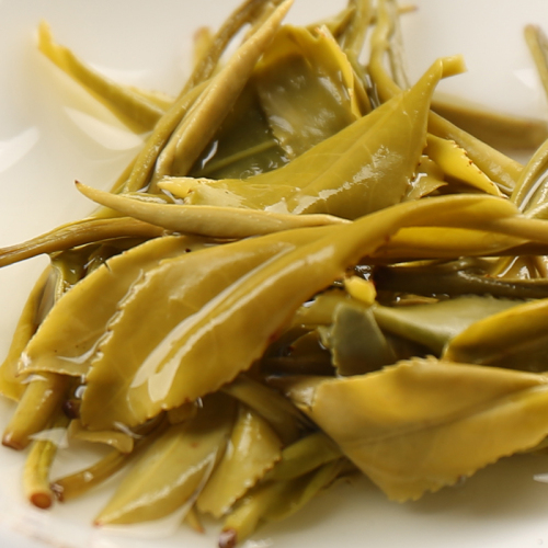 铁罐装-绿茶-生态黄金芽50g