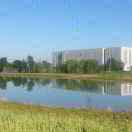 云上雪芽古树滇红