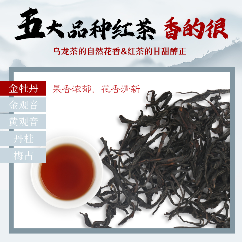 红茶习茶系列·起航版（三）【茶七研茶学院出品】