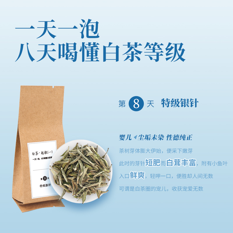 白茶习茶系列·起航版（一）【茶七研茶学院出品】